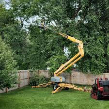 Best Emergency Tree Removal  in Summerlin South, NV