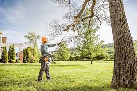 Best Lot and Land Clearing  in Summerlin South, NV